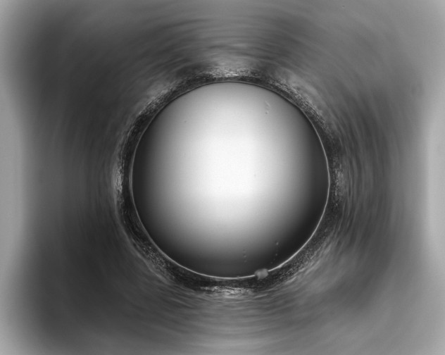 X0000093620539200710151303