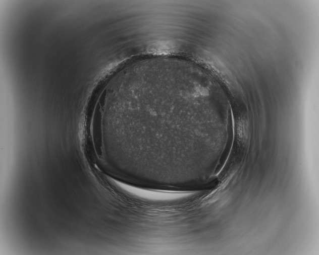 X0000093620540200710151303