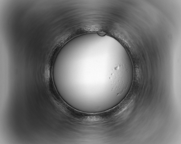 X0000093620541200710151303