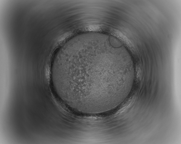 X0000093620542200710151303
