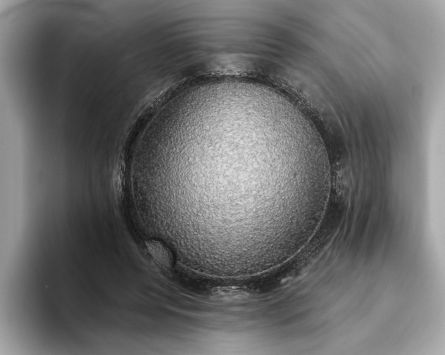 X0000093620544200710151303