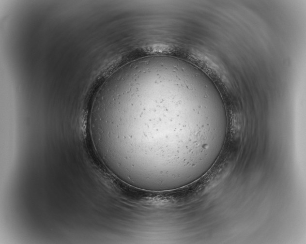 X0000093620545200710151303