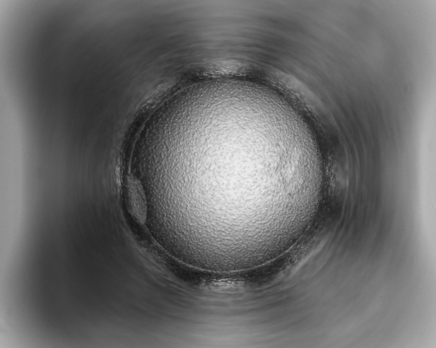 X0000093620546200710151303