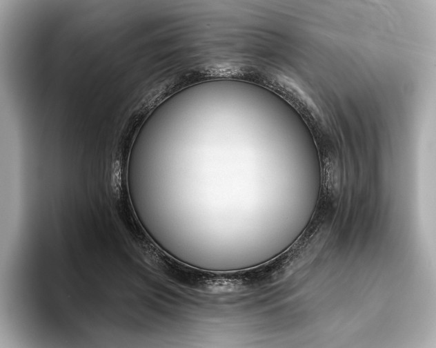 X0000093620549200710151303