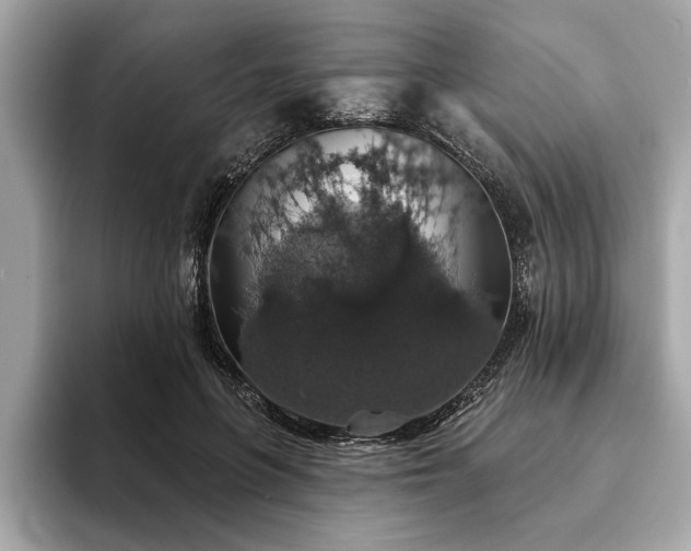 X0000093620551200710151303