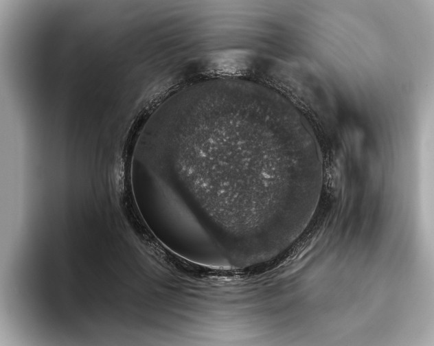 X0000093620552200710151303