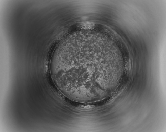 X0000093620553200710151303