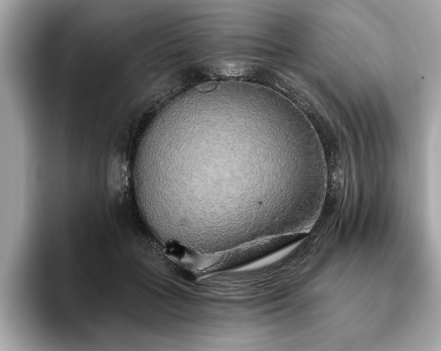 X0000093620555200710151303