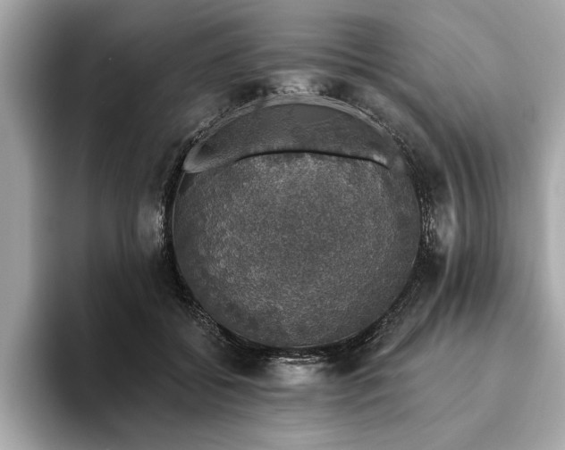 X0000093620556200710151303