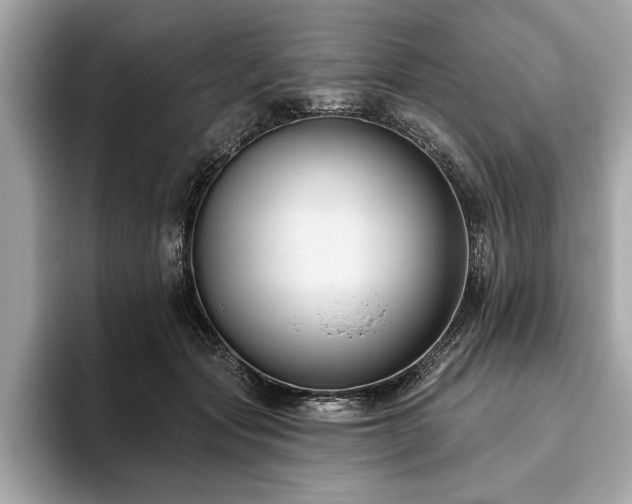 X0000093620557200710151303