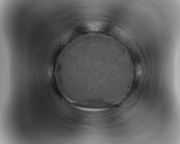 X0000093620559200710151303