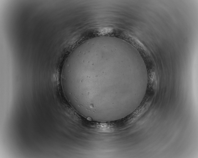 X0000093620565200710151303