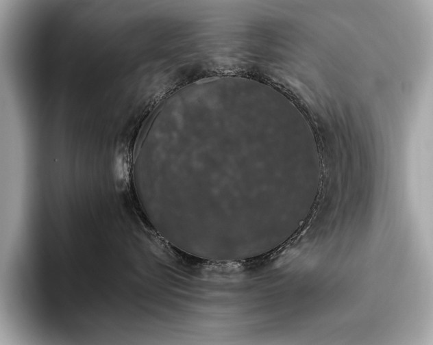 X0000093620576200710151303