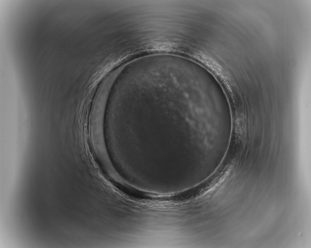 X0000093620577200710151302