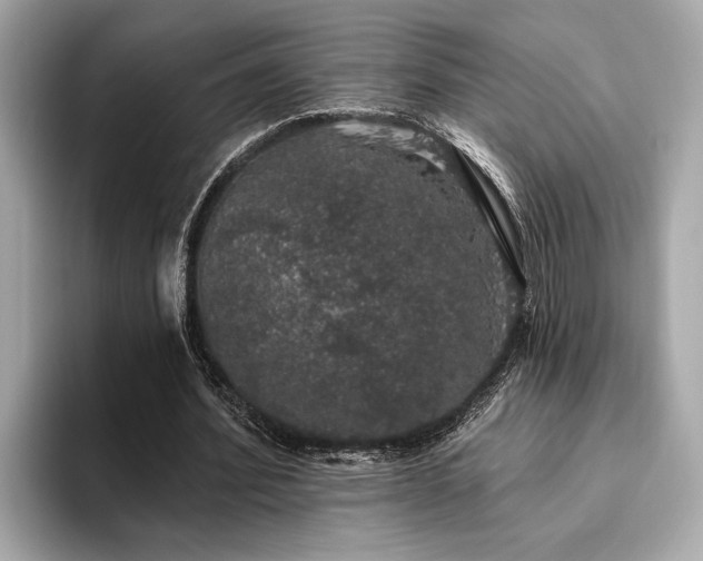 X0000093620580200710151302