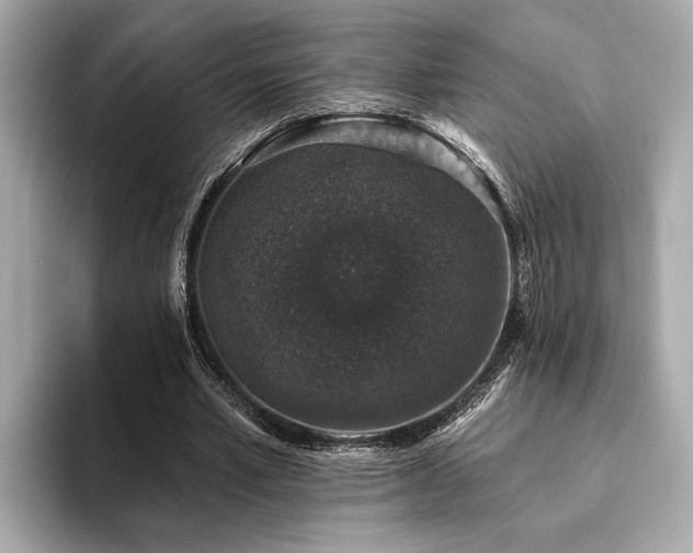X0000093620581200710151302