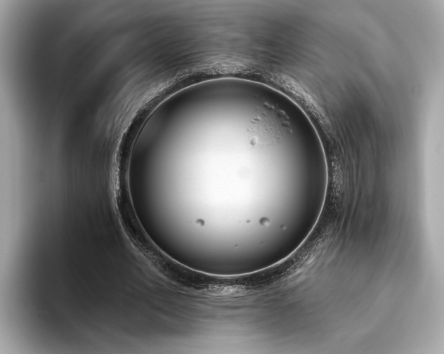 X0000093620582200710151302
