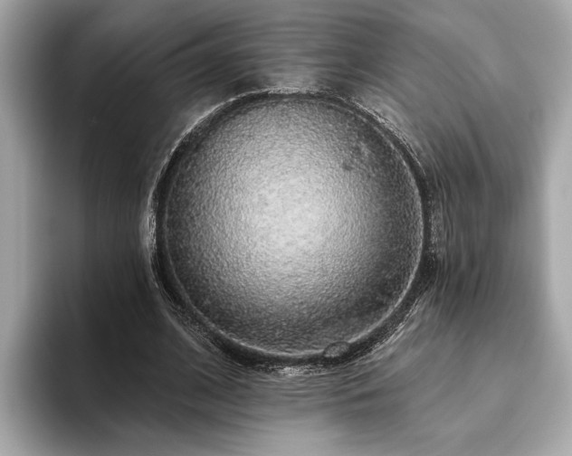 X0000093620584200710151302