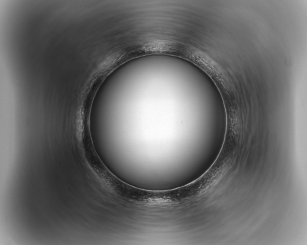 X0000093620586200710151302