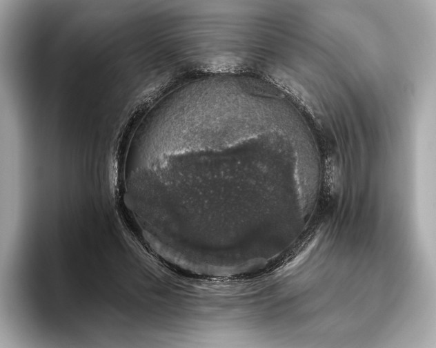 X0000093620589200710151302