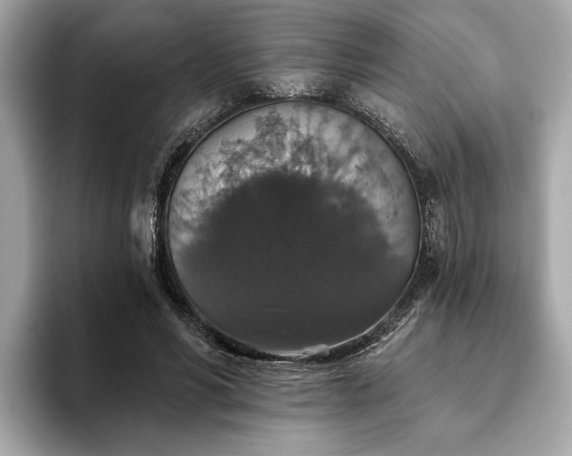 X0000093620590200710151302