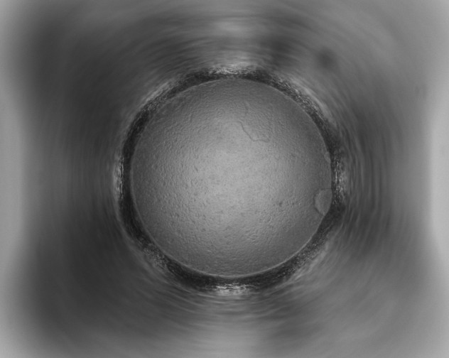 X0000093620591200710151302