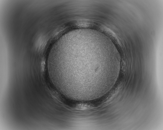 X0000093620596200710151302