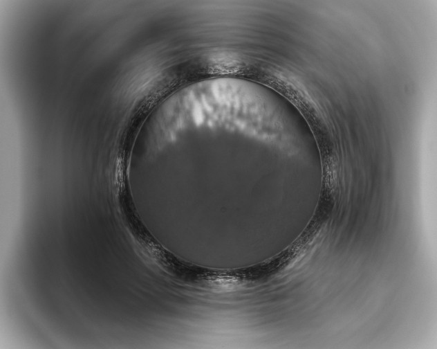 X0000093620598200710151302
