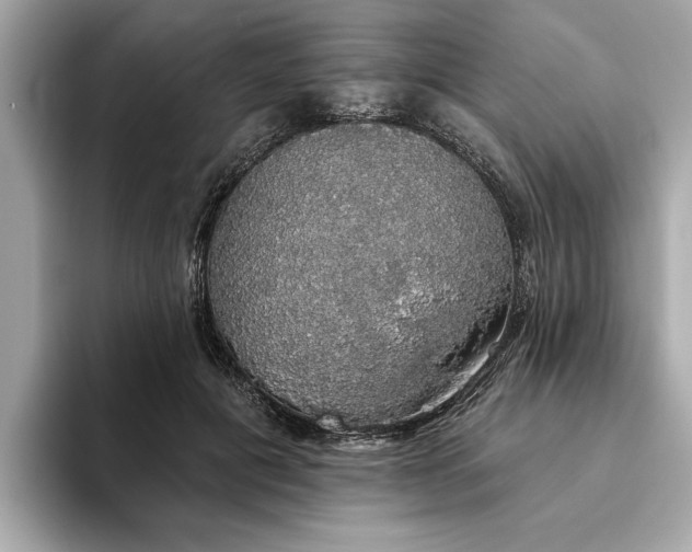 X0000093620601200710151302