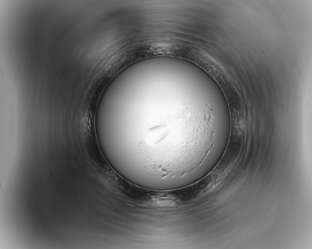 X0000093620603200710151302