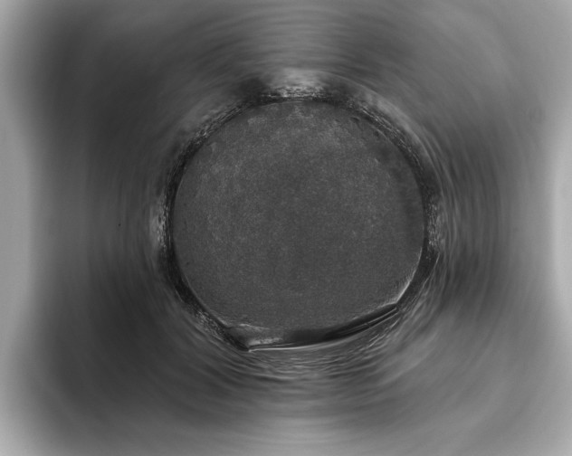 X0000093620604200710151302