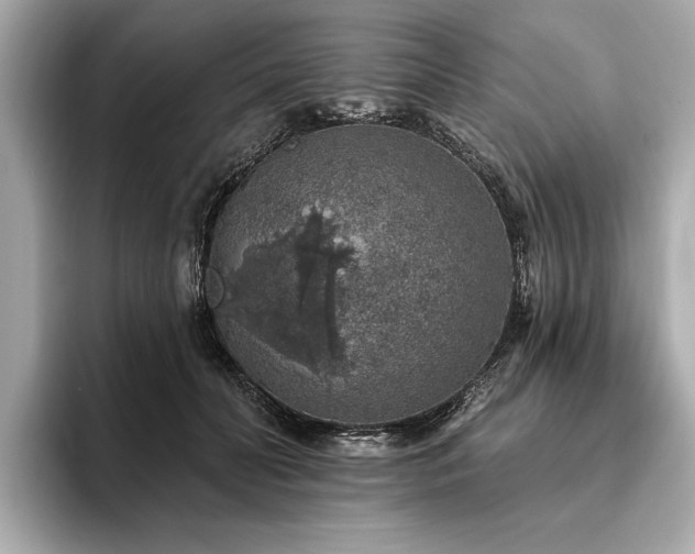 X0000093620606200710151302