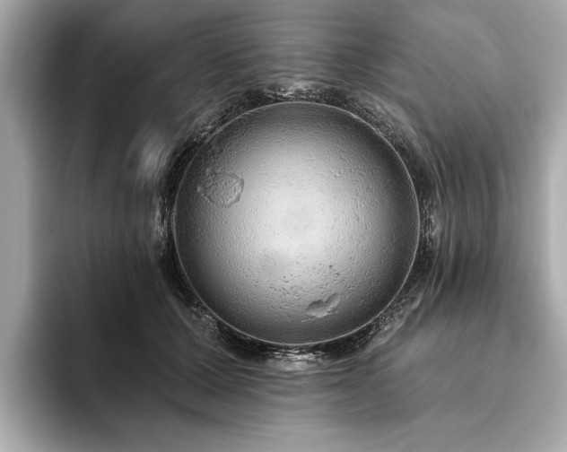X0000093620607200710151302