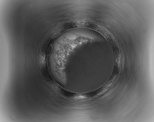 X0000093620610200710151302