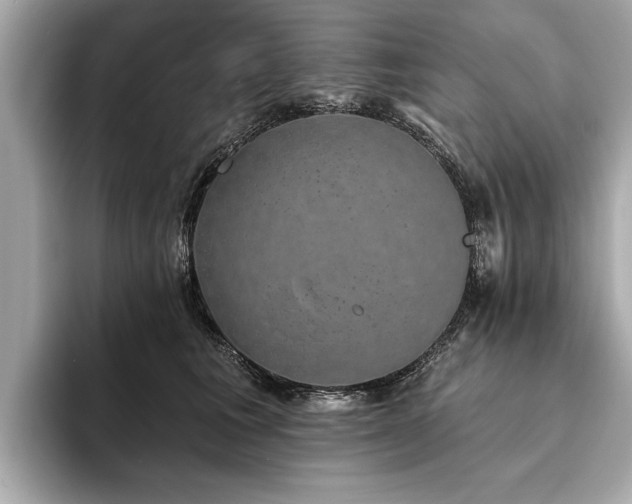 X0000093620613200710151302