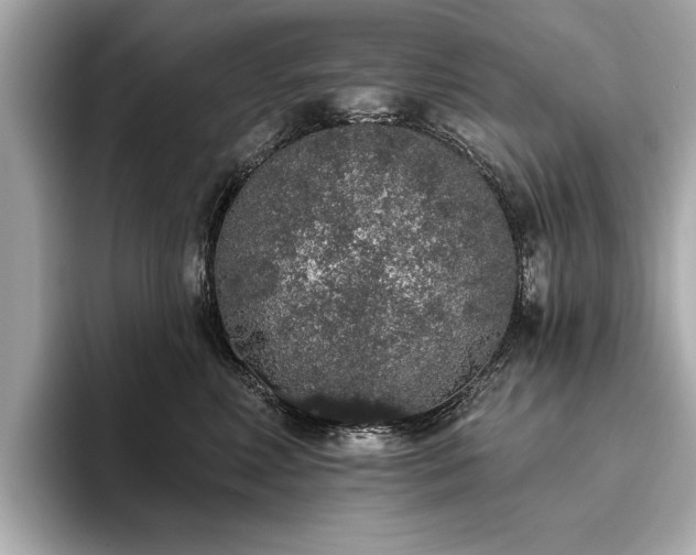 X0000093620618200710151302