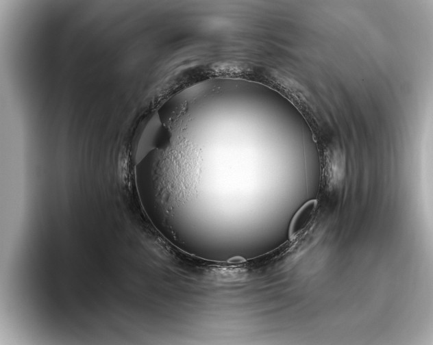 X0000093620619200710151302