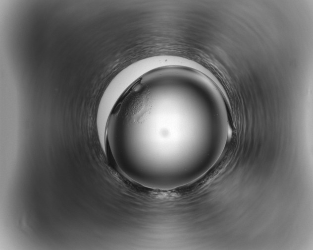 X0000093620621200710151302