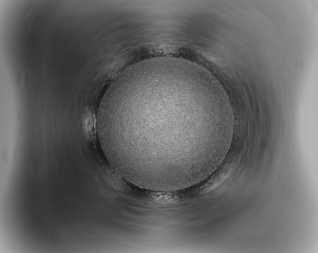 X0000093620624200710151302