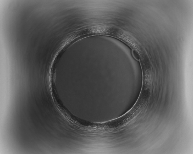 X0000093620626200710151301