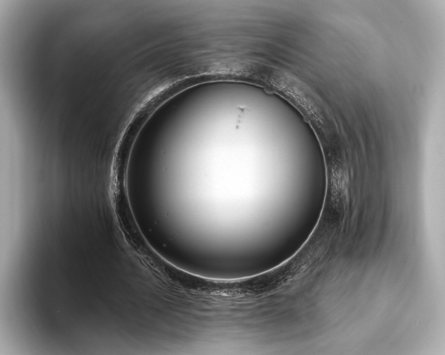 X0000093620628200710151301