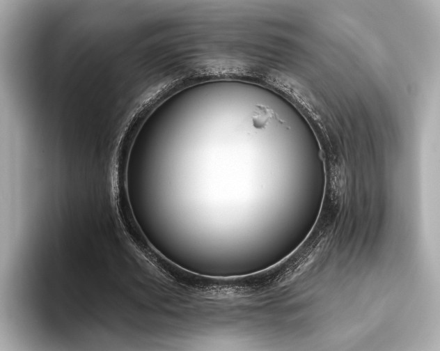 X0000093620629200710151301