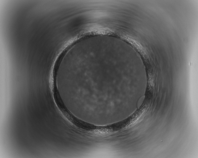 X0000093620630200710151301