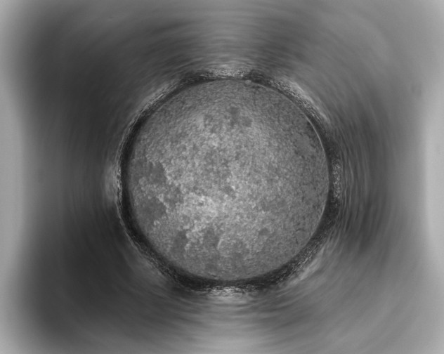 X0000093620634200710151301