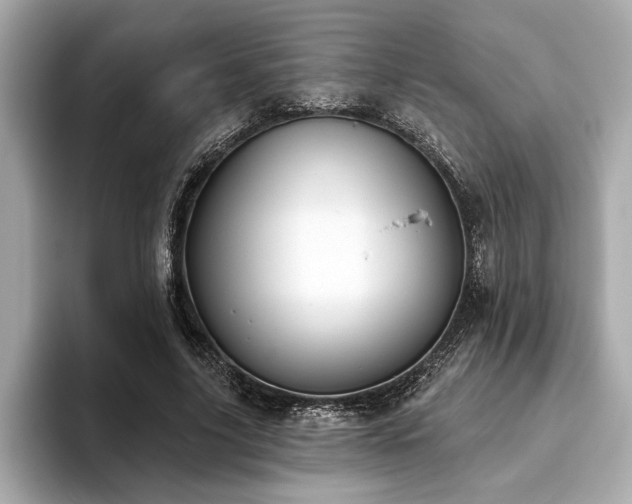 X0000093620635200710151301