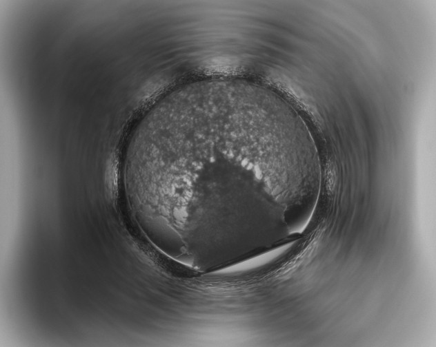 X0000093620637200710151301