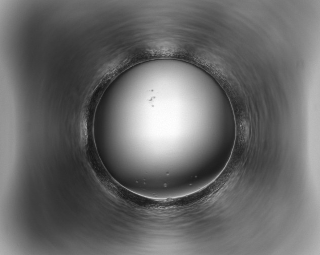 X0000093620638200710151301