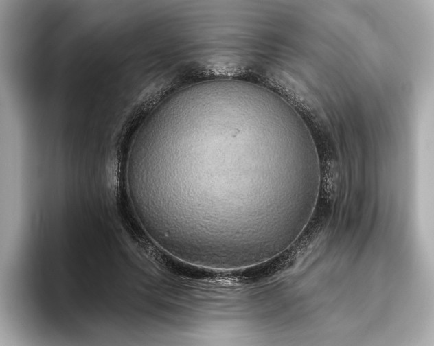 X0000093620639200710151301
