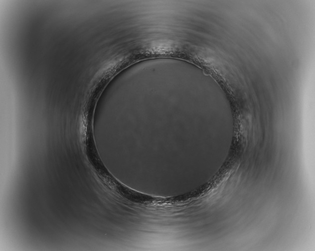 X0000093620640200710151301