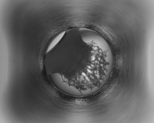 X0000093620641200710151301